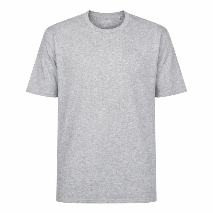 A12069XT Tall Fit Ed Baxter Plain Crew Neck T-Shirt (Grey)