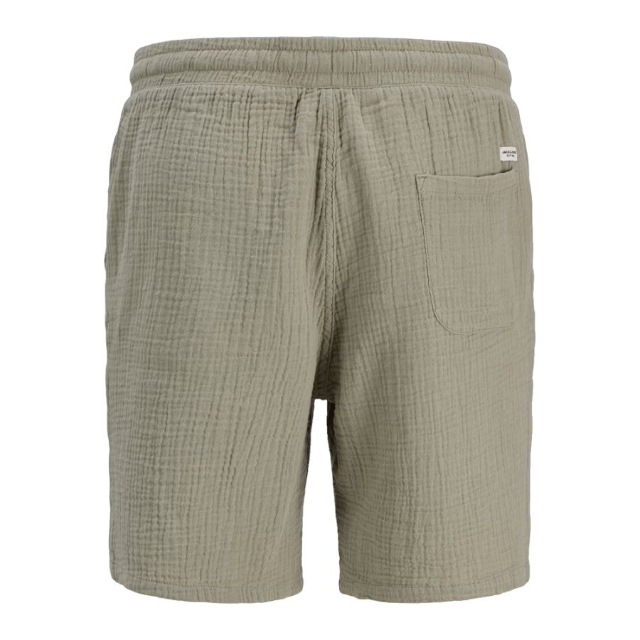F1582 Jack & Jones Relaxed Fit Casual Shorts (Sea Green)