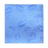 MWY311922 Paisley Poly Pocket Square (Sky Blue)