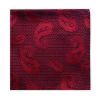 MWY311922 Paisley Poly Pocket Square (Red)