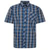A11602 Espionage Check Shirt (Blue)