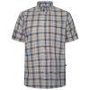 A11663 Kam Casual Check Shirt (Sage)