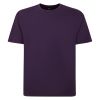 A6931 Espionage Plain Crew Neck T-Shirt (Purple)