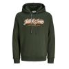 D6805 Jack & Jones Printed Hoodie (Bottle)