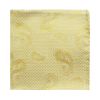 MWY311922 Paisley Poly Pocket Square (Gold)