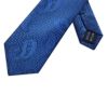 MWY311922 XL Paisley Poly Tie (Royal)